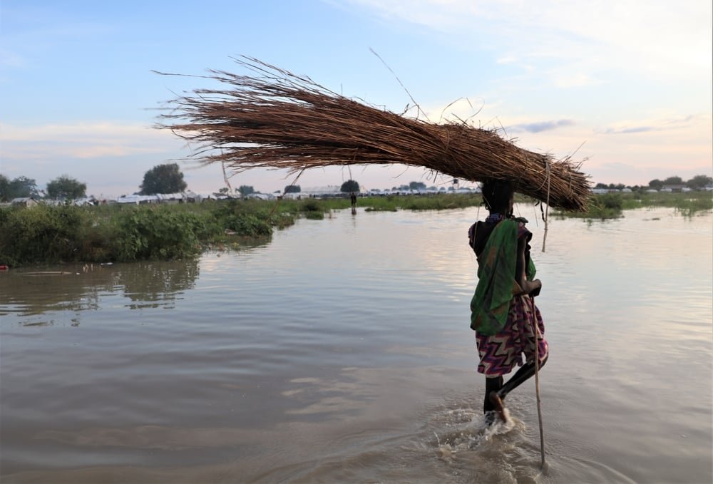 A woman carries tree branches to construct a new house in Pibor town, the Greater Pibor Administrative Area, South Sudan. (October, 2020).