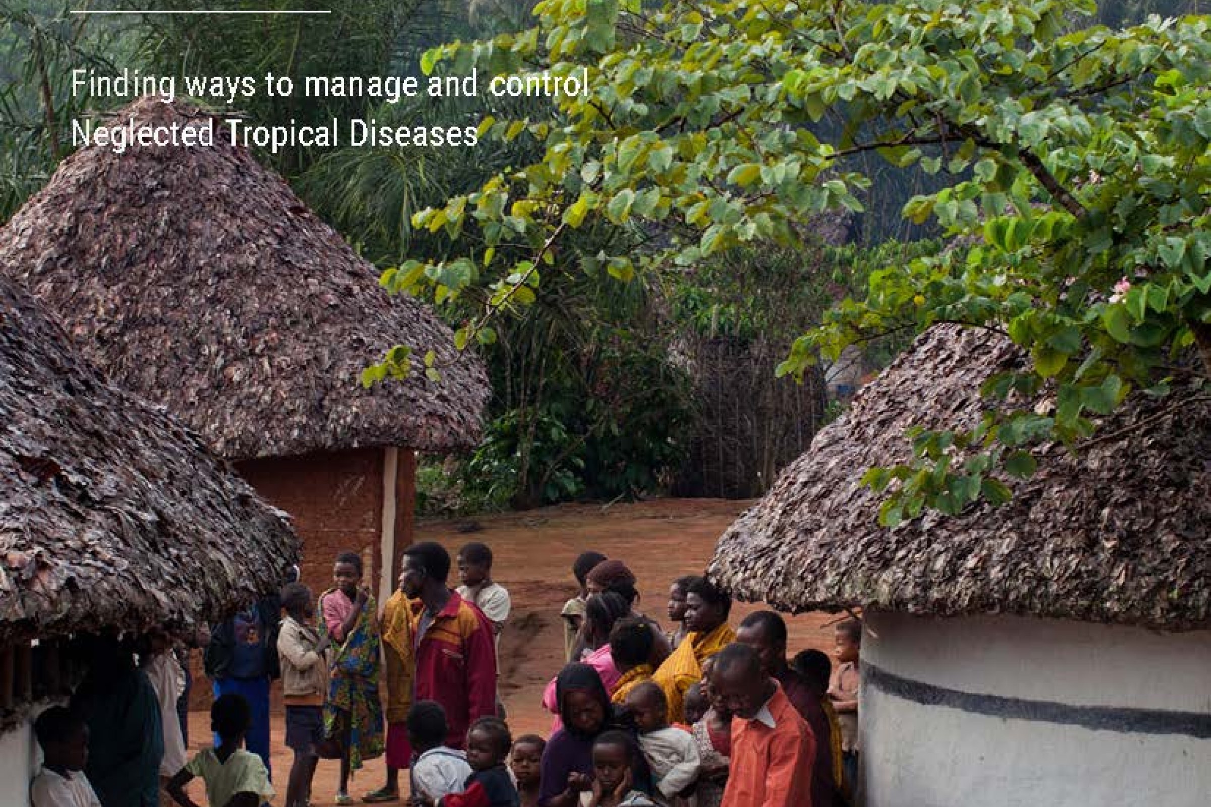 Finding ways to manage and control Neglected Tropical Diseases
