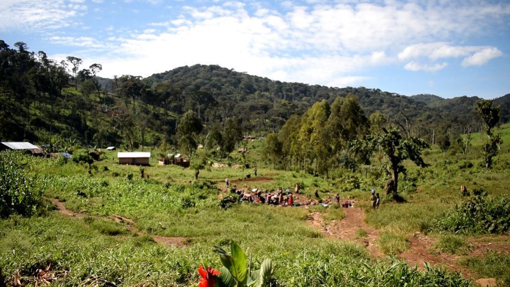 The Kahuzi Biega national park, a Unesco world heritage site, is more famous for its gorilla reserves. The status comes at a cost of expelling nomadic Pygmy communities.