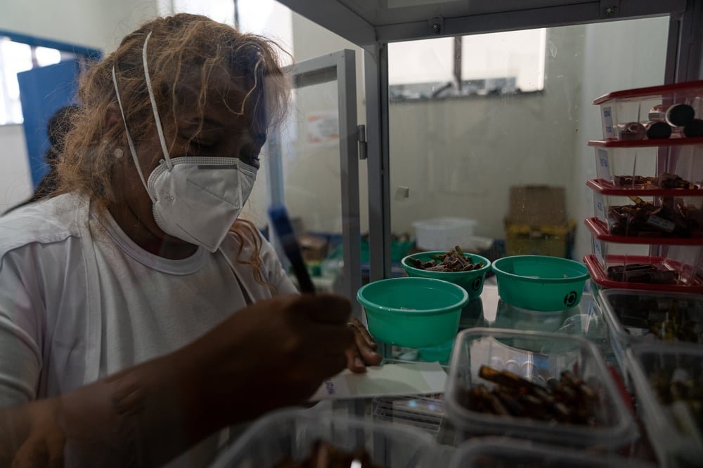 In rural cities in the state of Bahia, MSF teams are establishing a decentralized strategy with rapid antigen testing for COVID-19, along with IPC protocols and staff trainings in local health facilities.