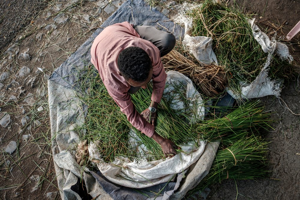 A man arranges packs of grass on the floor in a street in Alamata, Ethiopia, on December 8, 2020.