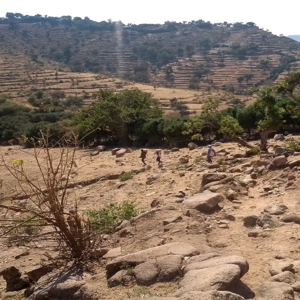 From Kalakil on the way to Tseda Emba. When it is impossible to reach certain locations with a car, the MSF teams carry medicines on their backs to ensure basic healthcare services for displaced people in remote locations in Tigray.