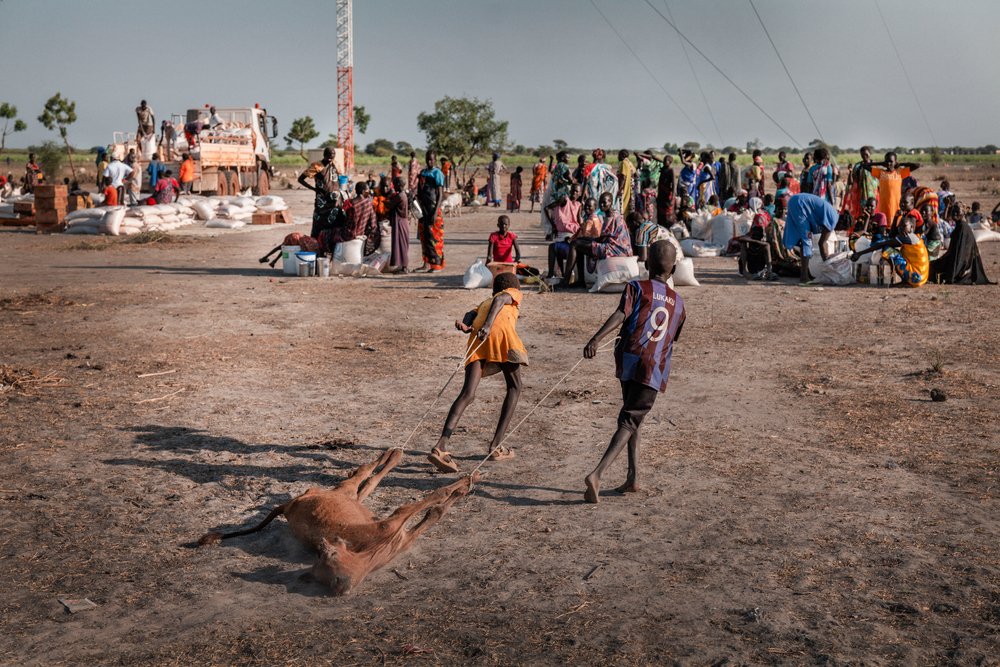 Siblings Khol and Nyadeeni drag the limp body of their dead calf from a camp in Bentiu, past a food distribution, and then to an open area littered with goat and cattle carcases. (December, 2021).